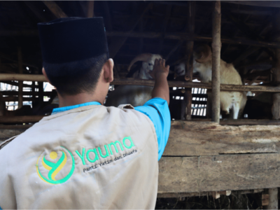 Peternak Lokal Qurban Yauma 1