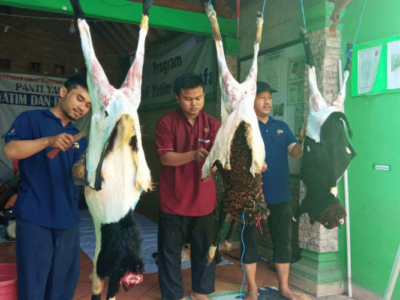 Proses Qurban 6