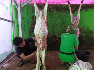 Proses Qurban 7
