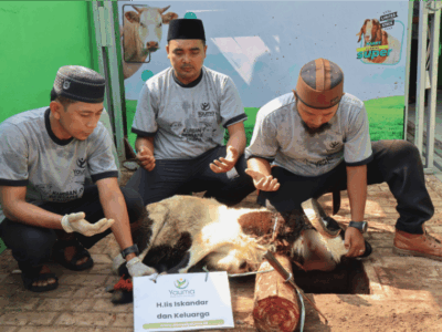 Proses Qurban 2