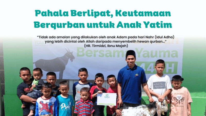keutamaan qurban untuk yatim