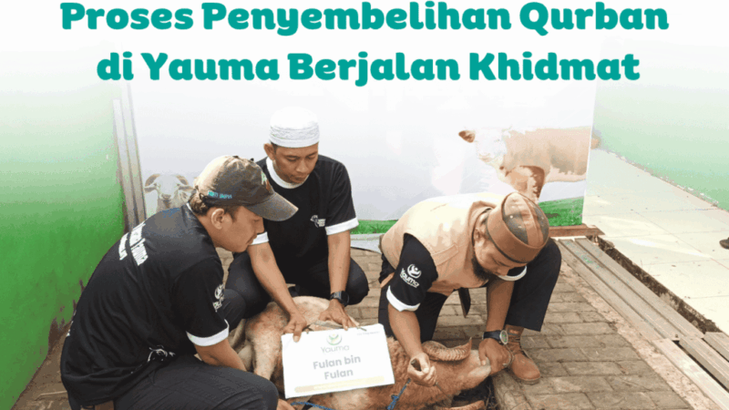 Proses penyembelihan qurban di Yauma berjalan khidmat