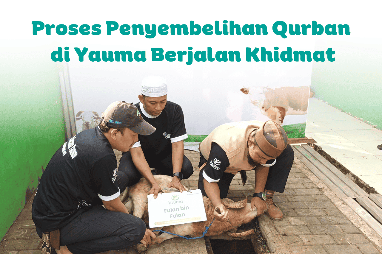 Proses penyembelihan qurban di Yauma berjalan khidmat