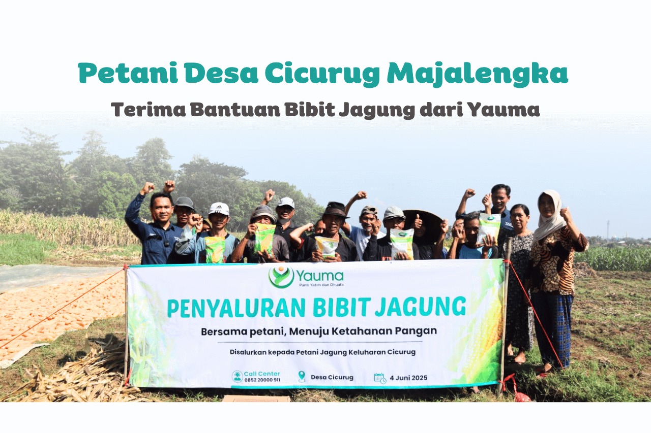 Bantuan bibit jagung
