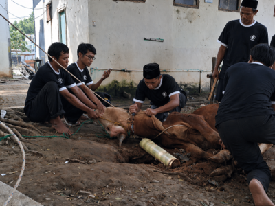 Dokumentasi Qurban Sapi.