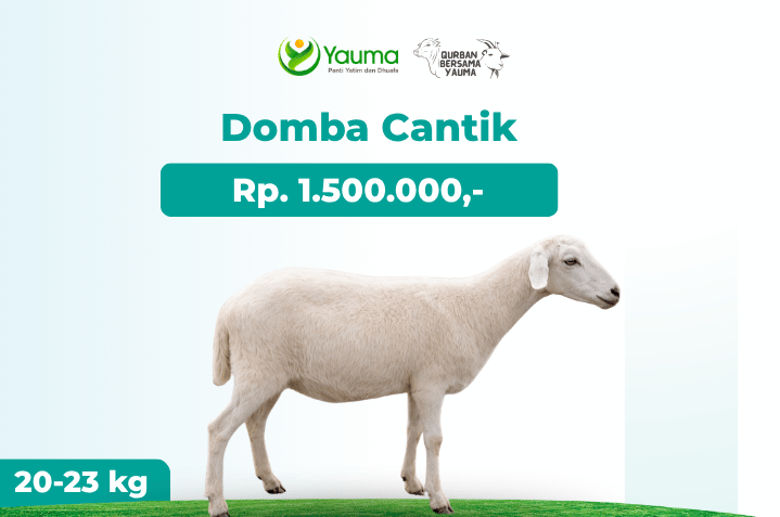 Domba Paket Cantik