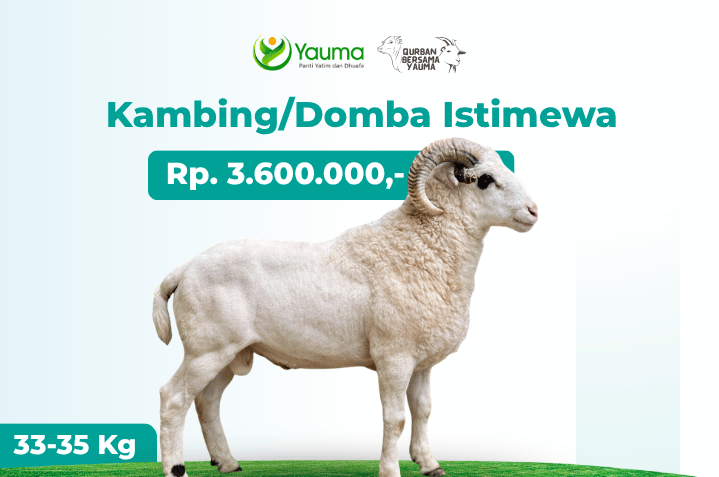 Kambing Domba Istimewa