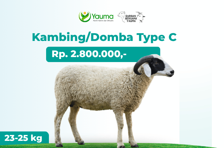 Kambing Domba Type C