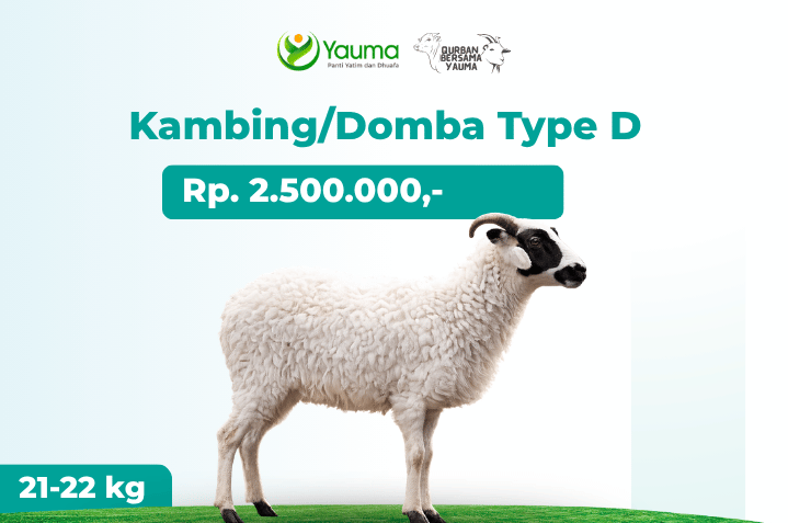 Kambing Domba Type D