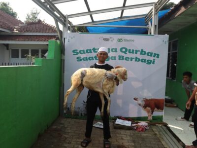 Kambing Qurban