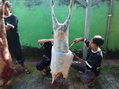 Pasca Penyembelihan