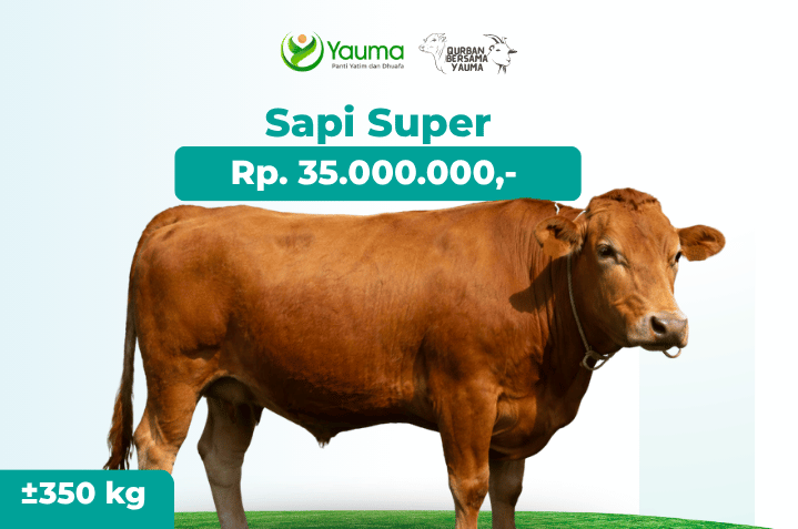 Sapi Super