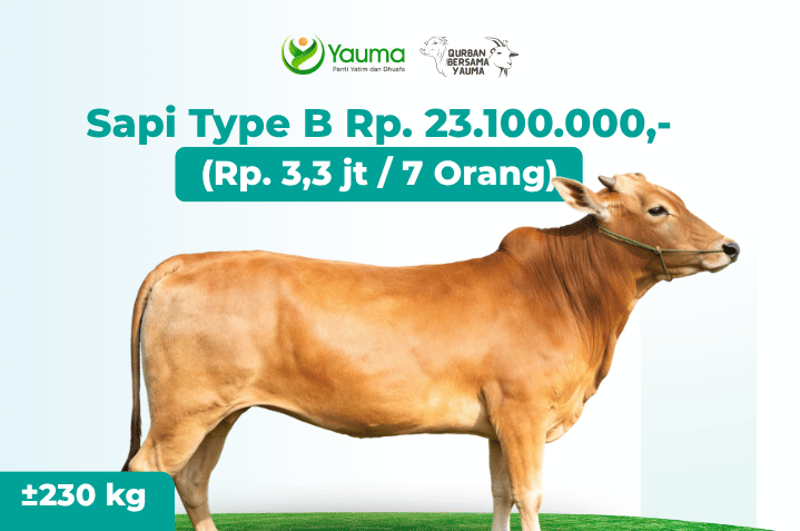 Sapi Type B