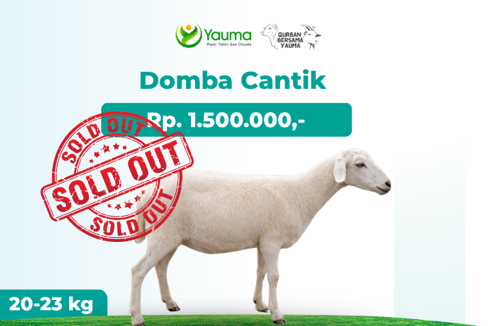 Qurban Cantik Soldout